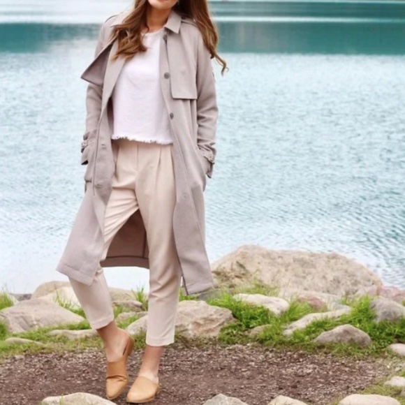 Aritzia Wilfred Louvinel Trench Coat Grey M - Picture 10 of 10